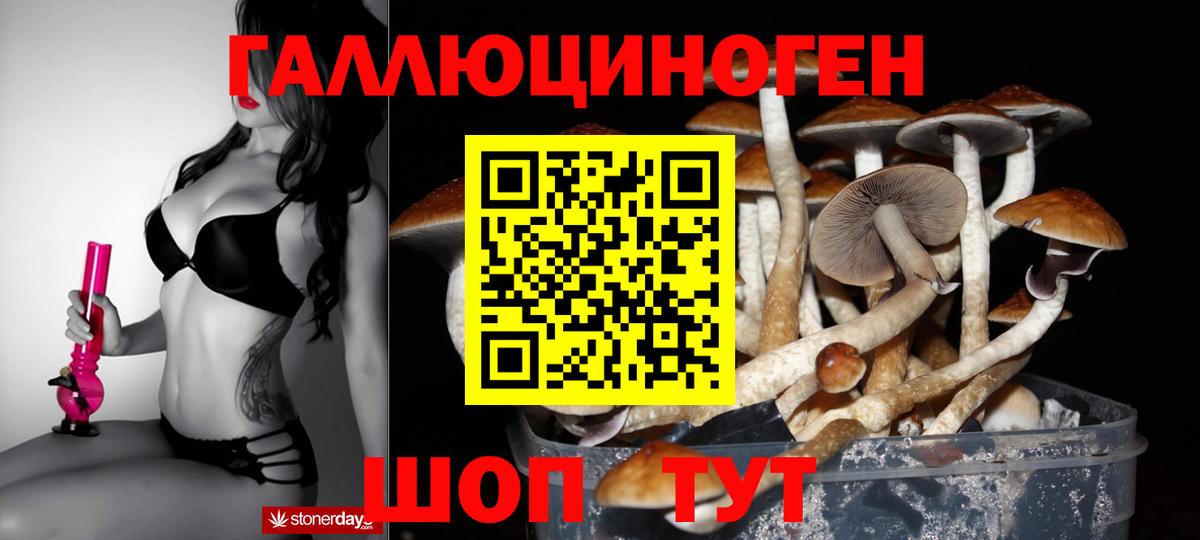 Псилоцибиновые грибы прущие грибы  Галлюциногенные грибы Psilocybe  что такое наркотик  Вход с VPN  Джанкой 